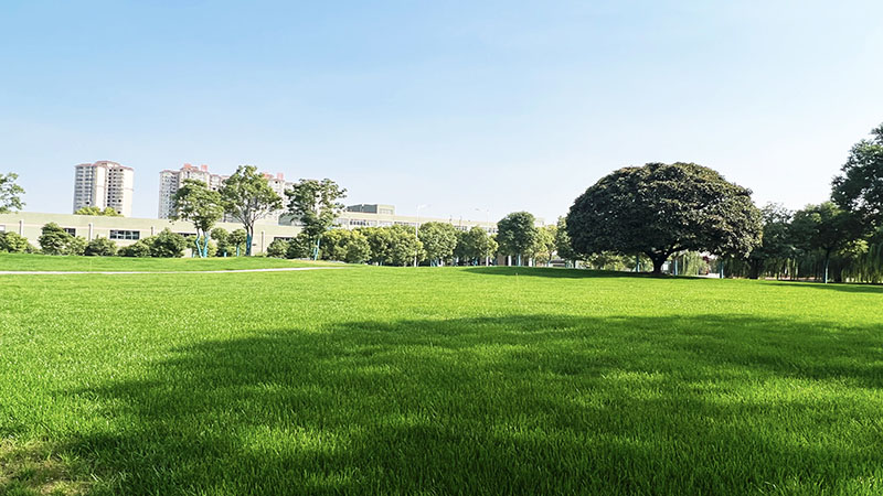 Stake����������